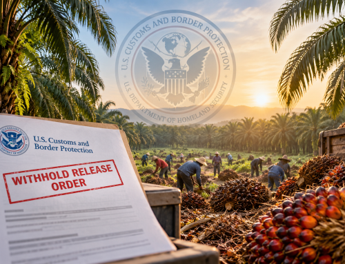 CBP Issues Palm Oil WROs Against Two Indonesian Producers: What Importers Need to Know 